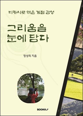 그리움을 눈에 담다